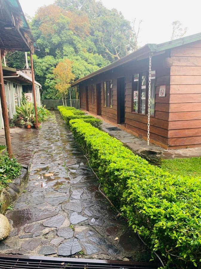 Hotel Quetzal Inn Monteverde Екстериор снимка
