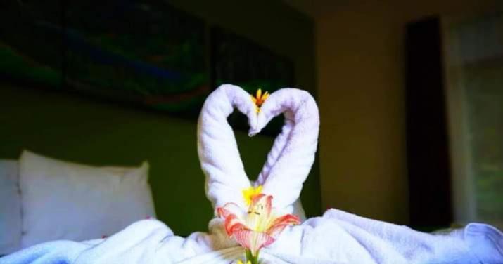 Hotel Quetzal Inn Monteverde Екстериор снимка